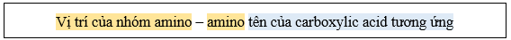 Lý thuyết Hóa học 12 Bài 6: Amino acid | Cánh diều