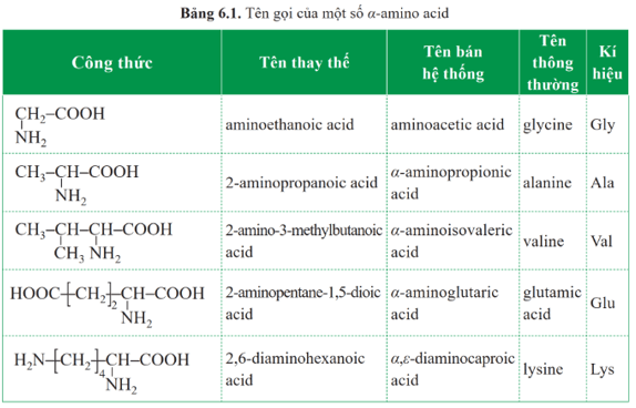 Lý thuyết Hóa học 12 Bài 6: Amino acid | Cánh diều