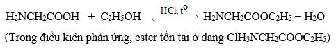 Lý thuyết Hóa học 12 Bài 6: Amino acid | Cánh diều