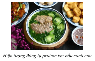 Lý thuyết Hóa học 12 Bài 7: Peptide, protein và enzyme | Cánh diều