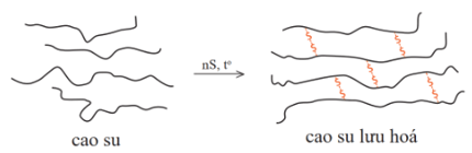 Lý thuyết Hóa học 12 Bài 8: Đại cương về polymer | Cánh diều