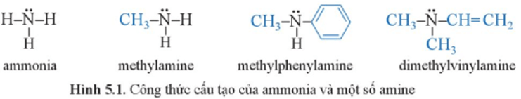 Từ công thức cấu tạo của ammonia và một số amine ở Hình 5.1, hãy: