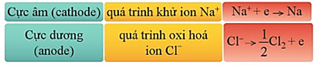 Hình 12.1 mô tả sự chuyển động của các ion về các điện cực trong bình điện phân