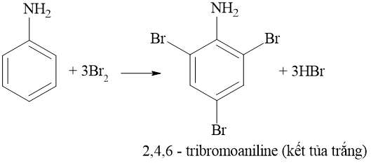 Phản ứng bromine hoá aniline