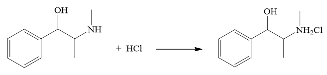 Trắc nghiệm Hóa học 12 Bài 5: Amine | Cánh diều