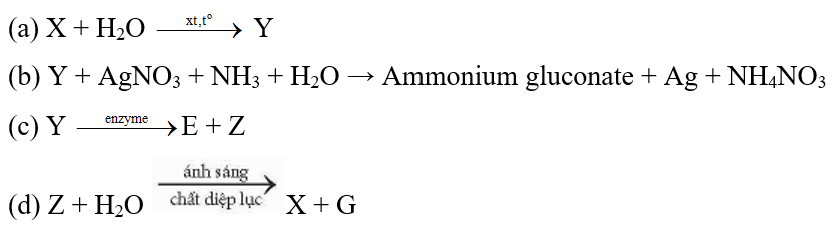 Xác định các chất X, Y, Z, E, G và hoàn thành phương trình hoá học theo các sơ đồ