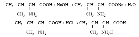 Valine là một amino acid, valine tham gia vào nhiều chức năng của cơ thể