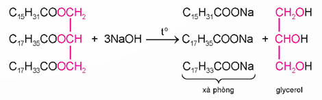 Lý thuyết Hóa học 12 Bài 1: Ester – Lipid | Chân trời sáng tạo