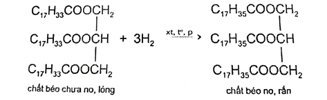 Lý thuyết Hóa học 12 Bài 1: Ester – Lipid | Chân trời sáng tạo