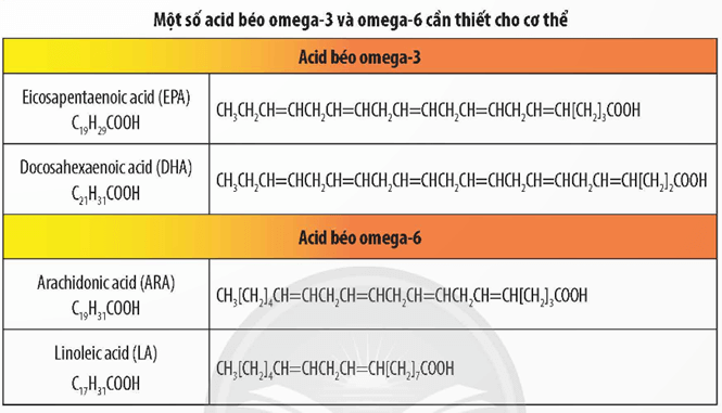 Lý thuyết Hóa học 12 Bài 1: Ester – Lipid | Chân trời sáng tạo