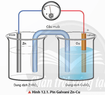 Lý thuyết Hóa học 12 Bài 12: Thế điện cực và nguồn điện hoá học | Chân trời sáng tạo