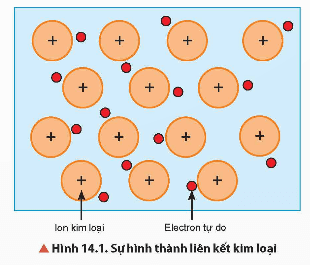 Lý thuyết Hóa học 12 Bài 14: Đặc điểm cấu tạo và liên kết kin loại. Tính chất kim loại | Chân trời sáng tạo