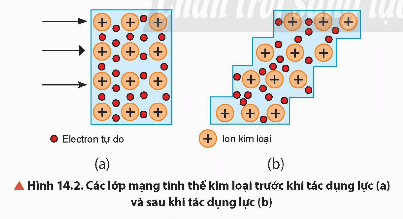 Lý thuyết Hóa học 12 Bài 14: Đặc điểm cấu tạo và liên kết kin loại. Tính chất kim loại | Chân trời sáng tạo