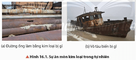 Lý thuyết Hóa học 12 Bài 16: Hợp kim – Sự ăn mòn kim loại | Chân trời sáng tạo