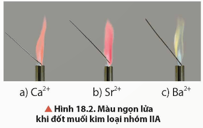 Lý thuyết Hóa học 12 Bài 18: Nguyên tố nhóm IIA | Chân trời sáng tạo