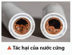 Lý thuyết Hóa học 12 Bài 18: Nguyên tố nhóm IIA | Chân trời sáng tạo