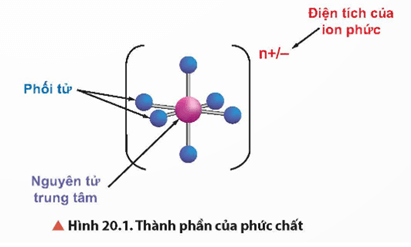 Lý thuyết Hóa học 12 Bài 20: Sơ lược về phức chất và sự hình thành phức chất của ion kim loại chuyển tiếp trong dung dịch | Chân trời sáng tạo