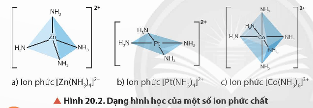 Lý thuyết Hóa học 12 Bài 20: Sơ lược về phức chất và sự hình thành phức chất của ion kim loại chuyển tiếp trong dung dịch | Chân trời sáng tạo