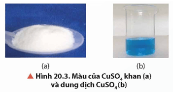 Lý thuyết Hóa học 12 Bài 20: Sơ lược về phức chất và sự hình thành phức chất của ion kim loại chuyển tiếp trong dung dịch | Chân trời sáng tạo