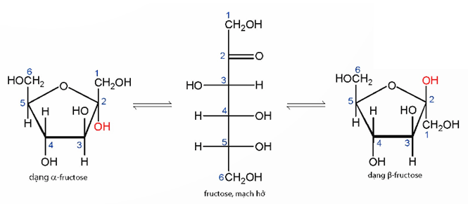 Lý thuyết Hóa học 12 Bài 3: Glucose và fructose | Chân trời sáng tạo