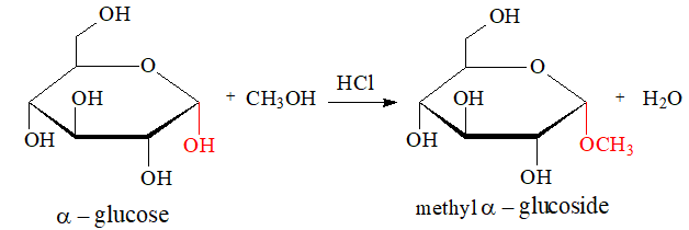 Lý thuyết Hóa học 12 Bài 3: Glucose và fructose | Chân trời sáng tạo