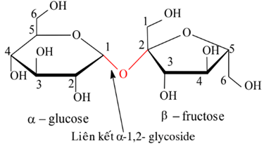 Lý thuyết Hóa học 12 Bài 4: Saccharose và maltose | Chân trời sáng tạo