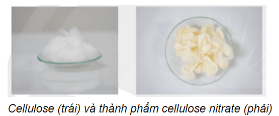 Lý thuyết Hóa học 12 Bài 5: Tinh bột và cellulose | Chân trời sáng tạo