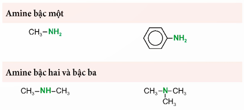 Lý thuyết Hóa học 12 Bài 6: Amine | Chân trời sáng tạo