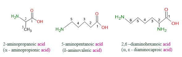 Lý thuyết Hóa học 12 Bài 7: Amino acid và peptide | Chân trời sáng tạo