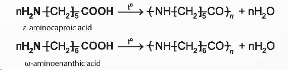 Lý thuyết Hóa học 12 Bài 7: Amino acid và peptide | Chân trời sáng tạo