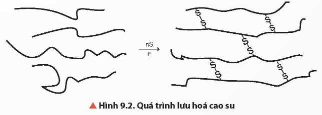 Lý thuyết Hóa học 12 Bài 9: Đại cương về polymer | Chân trời sáng tạo