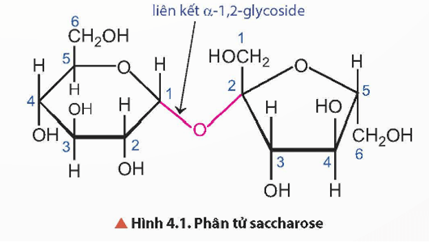 Trên kệ bếp của các gia đình thường có lọ đường ăn, tên hoá học là saccharose