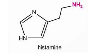 Histamine là một amine tự nhiên được tìm thấy trong cơ thể người và nhiều loại động vật