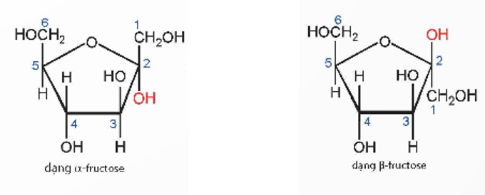 Phân tử saccharose có nhóm – OH hemiacetal hoặc nhóm – OH hemiketol không? Vì sao?