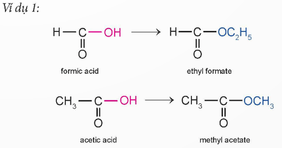 Em hãy xác định gốc R’ trong các ester ở Ví dụ 1