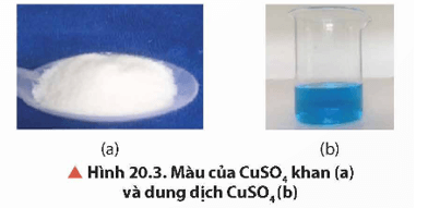 Quan sát Hình 20.3, hãy cho biết màu sắc của dung dịch CuSO4. Màu sắc đó là