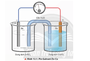 Quan sát Hình 12.1, hãy mô tả cấu tạo của pin Galvani. Cho biết cực dương, cực âm