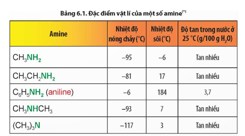 Quan sát Bảng 6.1 kể tên các amine thể khí ở điều kiện thường