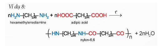 Quan sát Ví dụ 8, cho biết monomer phản ứng với nhau với nhau ở nhóm chức nào của phân tử