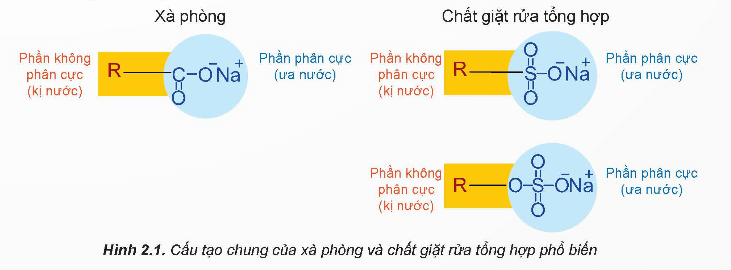 Em hãy nêu sự giống và khác nhau về cấu tạo giữa xà phòng và chất giặt rửa tổng hợp 