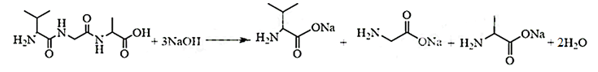 Thuỷ phân không hoàn toàn tripeptide Val – Gly – Ala thu được các dipeptide nào