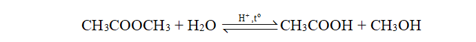 Em hãy so sánh điểm giống nhau và khác nhau của phản ứng thuỷ phân ester CH<sub>3</sub>COOCH<sub>3</sub>