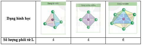 Hãy xác định số lượng phối tử L trong phân tử hoặc ion phức chất ứng với mỗi dạng hình học