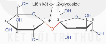 Từ đặc điểm cấu tạo phân tử của saccharose, dự đoán các tính chất hoá học có thể có của saccharose 