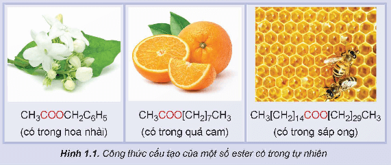 Tìm hiểu về đặc điểm chung của ester