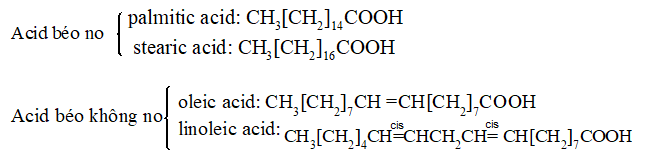 Lý thuyết Hóa học 12 Bài 1: Ester - Lipid | Kết nối tri thức