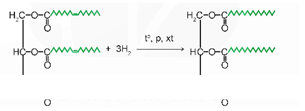 Lý thuyết Hóa học 12 Bài 1: Ester - Lipid | Kết nối tri thức