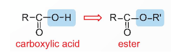 Lý thuyết Hóa học 12 Bài 1: Ester - Lipid | Kết nối tri thức