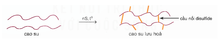 Lý thuyết Hóa học 12 Bài 12: Đại cương về polymer | Kết nối tri thức