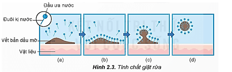 Lý thuyết Hóa học 12 Bài 2: Xà phòng và chất giặt rửa | Kết nối tri thức